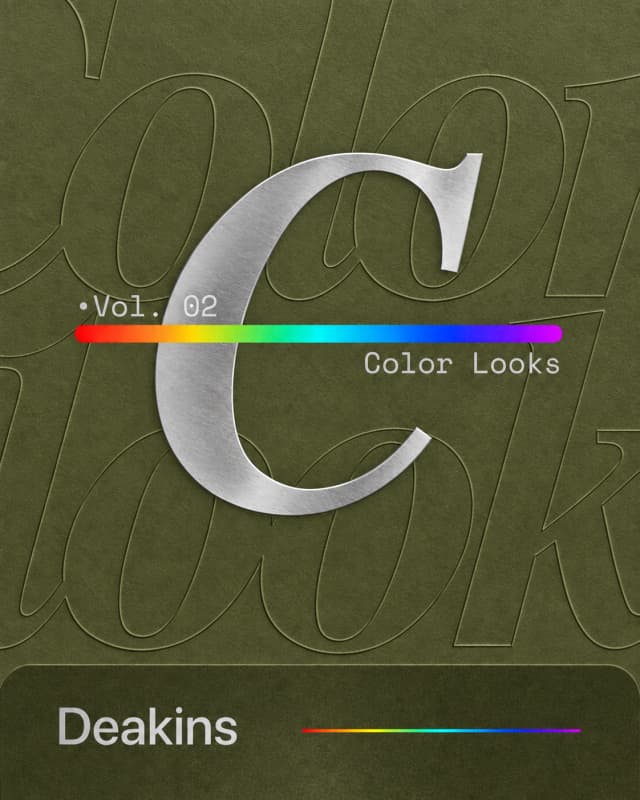 Color Looks Deakins