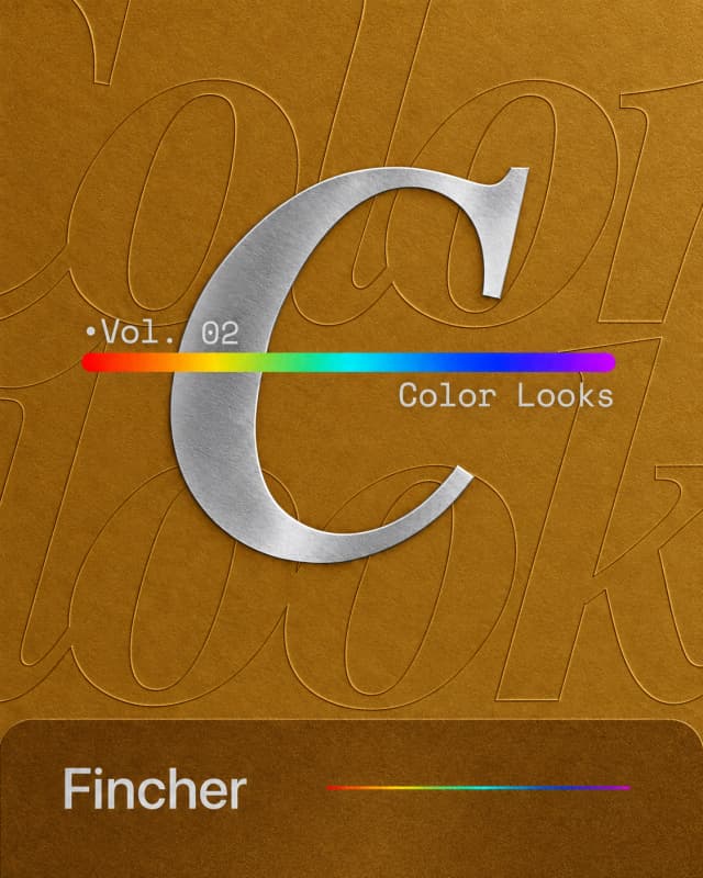 Color Looks Fincher